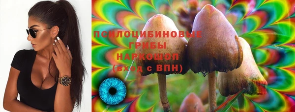 амф Абаза