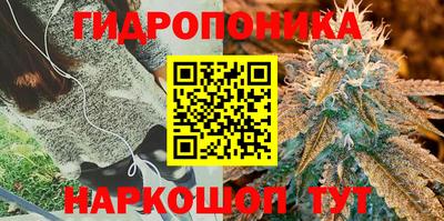 молекула духа Туймазы