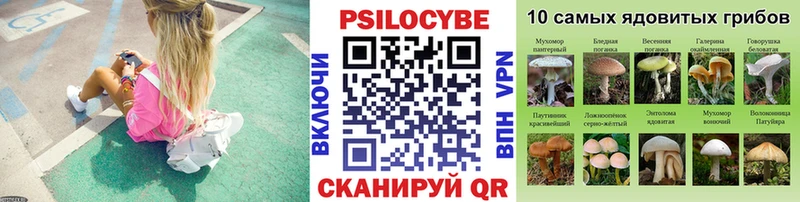 даркнет сайт  Протвино  Галлюциногенные грибы Psilocybe 