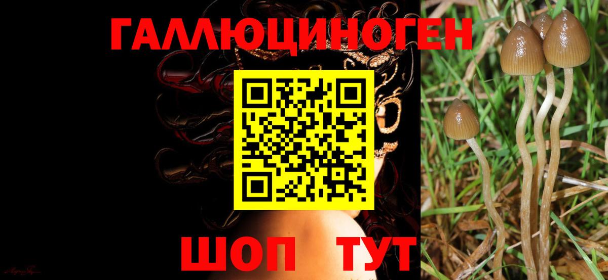 Псилоцибиновые грибы MAGIC MUSHROOMS Протвино
